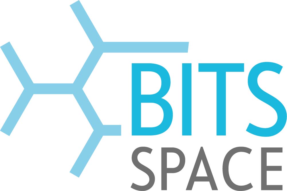 Logo des BITS SPACE. Eine angedeute hexagonale Netzwerkstruktur mit dem Schriftzug "BITS SPACE"