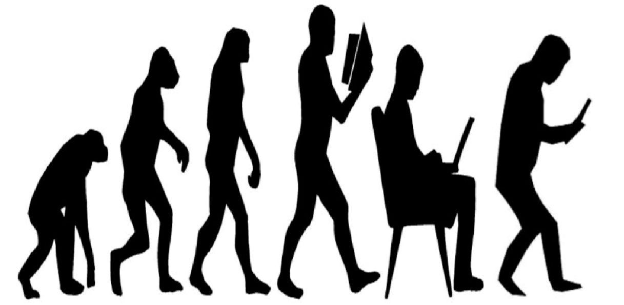 Die Entwicklungsstufen der menschlichen Evolution.