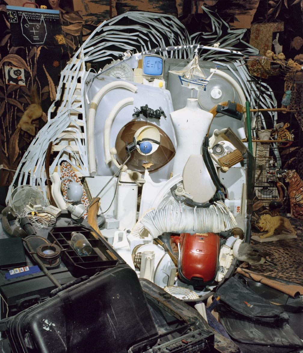 Photo of Bernard Pras' "Albert Einstein" - the famous photo of Albert Einstein sticking out his tongue recreated with different objects and a certain perspective